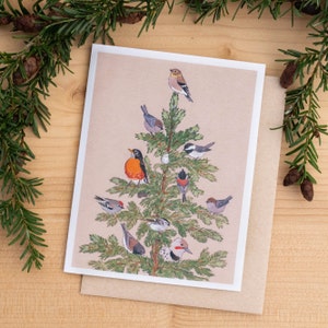 Winter Birds Greeting Card set of 3 or 8 - 100% recycled paper - Christmas holiday solstice tree sparkle