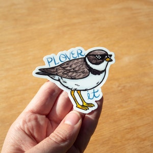 PLOVER IT 3" Medium vinyl bird sticker waterproof cute semipalmated plover