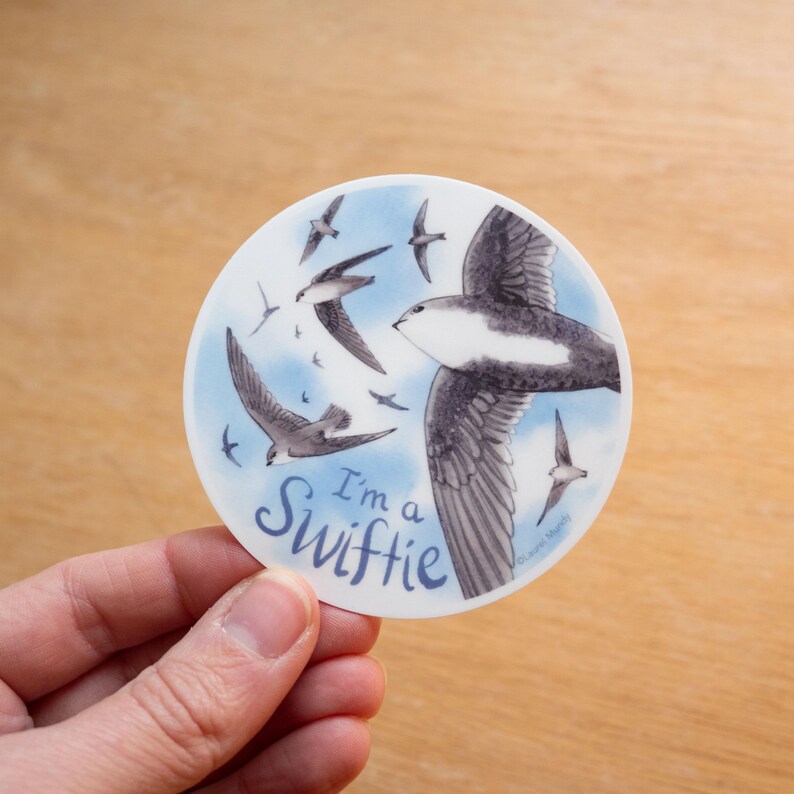 May include: A round sticker featuring a blue sky background with a flock of black and white birds in flight. The text "I'm a Swiftie" is written in black cursive lettering on the sticker.