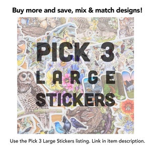 May include: A collection of large stickers featuring various bird and nature illustrations. The image includes text that reads "PICK 3 LARGE STICKERS". The stickers showcase owls, songbirds, and floral designs. The text "Buy more and save, mix & match designs!" is also present.