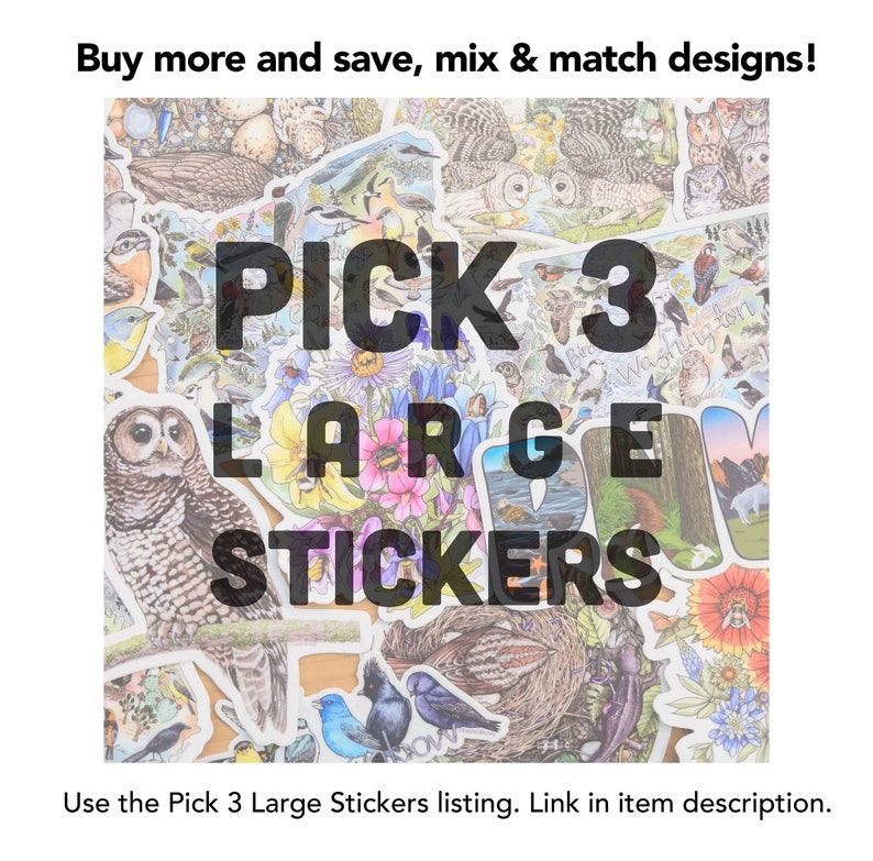 May include: A collection of large stickers featuring various bird and nature illustrations. The image includes text that reads "PICK 3 LARGE STICKERS". The stickers showcase owls, songbirds, and floral designs. The text "Buy more and save, mix & match designs!" is also present.