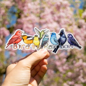 Bird the Rainbow 6"x2.25" Large vinyl sticker bumper/laptop/water bottle etc.