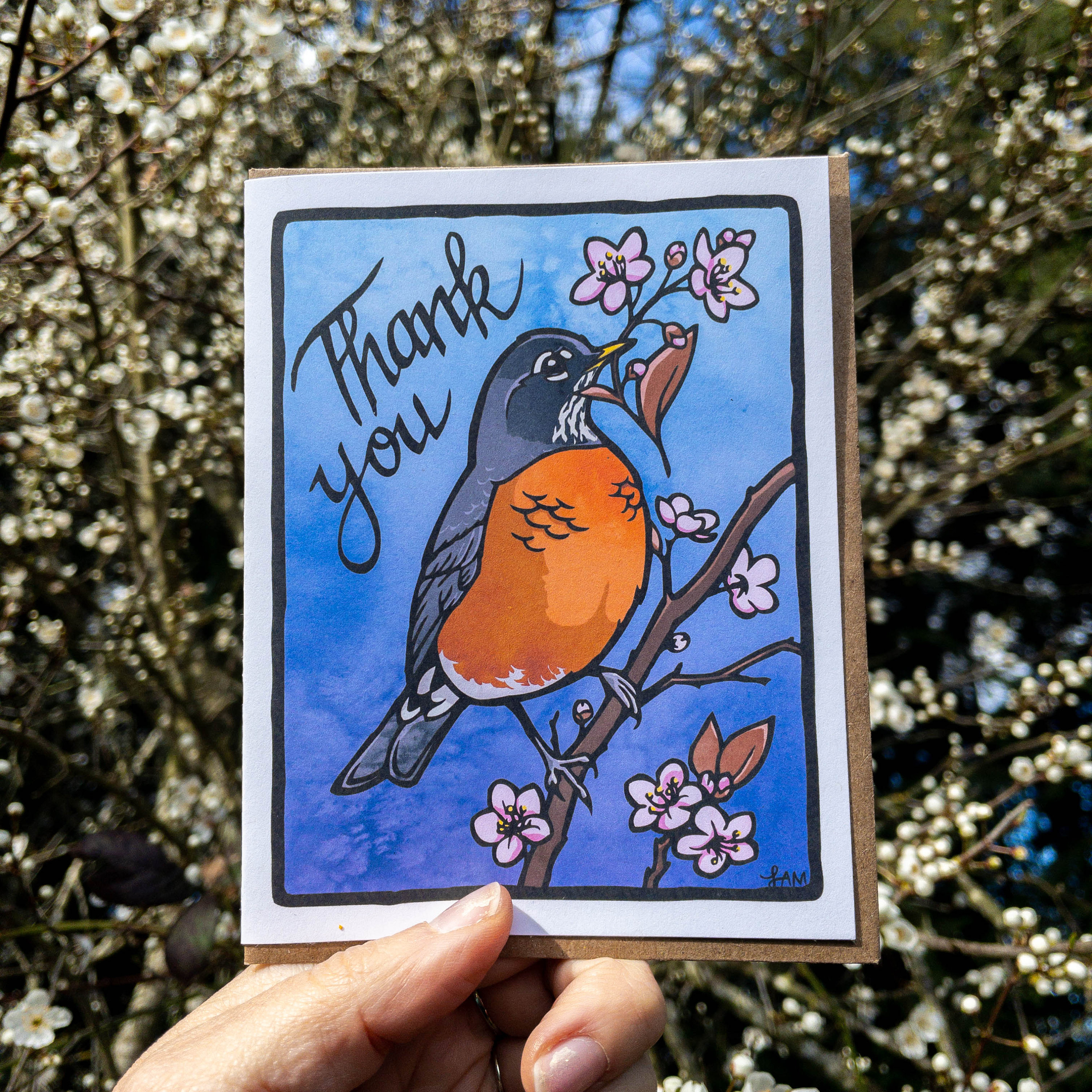 Thank You American Robin Greeting Cards 100% Recycled Paper - Etsy