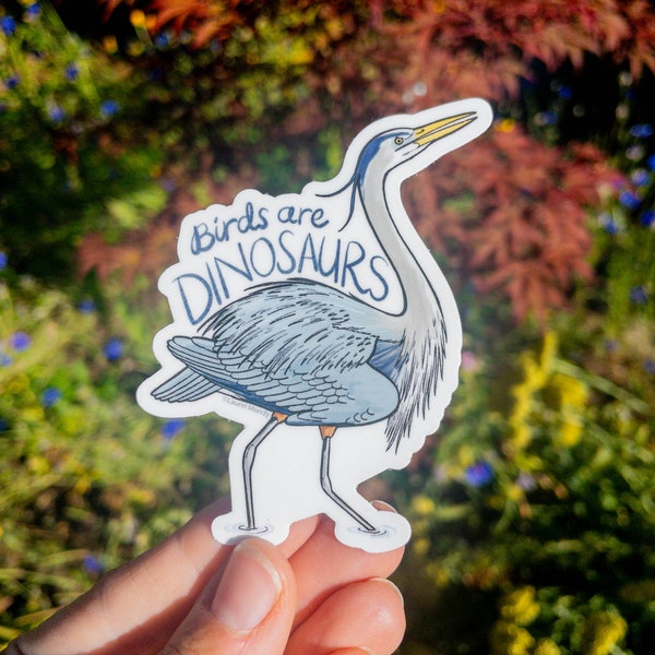 Birds are Dinosaurs great blue heron 3" Medium vinyl sticker