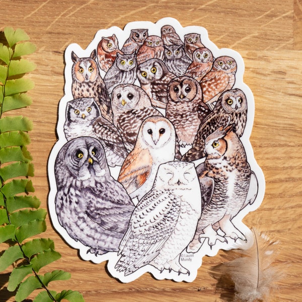 Owl Family Portrait bird sticker 5"x4" Large vinyl sticker