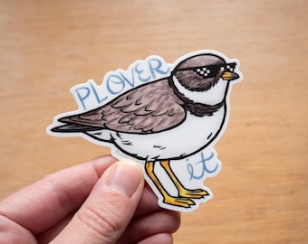 PLOVER IT 3" Medium vinyl bird sticker waterproof cute semipalmated plover