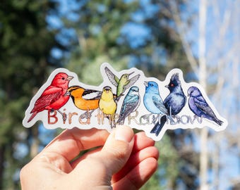 Bird the Rainbow 6"x2.25" LARGE vinyl sticker - weatherproof/dishwasher safe