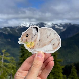American Pika 3.5&quot; Medium vinyl sticker - weatherproof/dishwasher safe