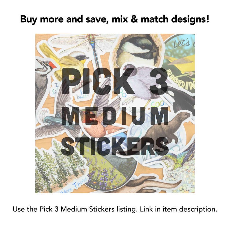 May include: A collection of colourful stickers featuring various nature-themed designs, including birds, butterflies, and trees. The stickers are arranged in a random pattern and have a 'Pick 3 Medium Stickers' text overlay.