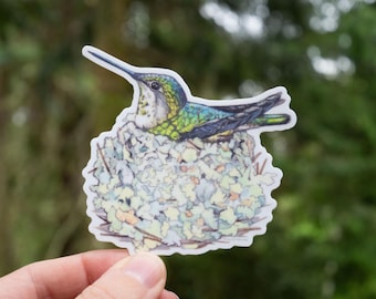 Hummingbird Mama 3" medium vinyl sticker weatherproof/dishwasher safe