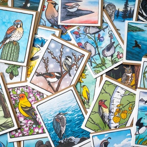 Tarjetas de felicitación de aves del oeste de Norteamérica, papel 100 % reciclado, diseños variados de aves.