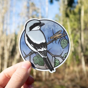 May include: A round sticker featuring a detailed illustration of a bird with gray, black, and white feathers perched on a thorny branch with a grasshopper. The background is a blue sky. The artist's name, Laurel Mundy, is printed on the sticker.