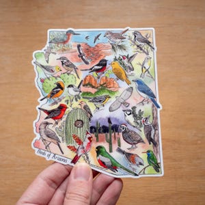 May include: A colourful sticker featuring an outline of the state of Arizona with various bird illustrations. The sticker includes the text "Birds of Arizona".