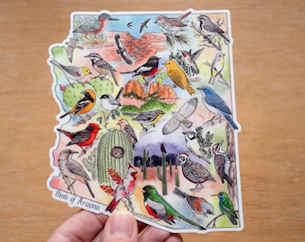 Birds of Arizona large sticker 5"x4" Large vinyl wildlife bird sticker waterproof