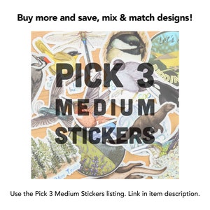 May include: A collage of colorful stickers featuring various nature-themed designs, including birds, hummingbirds, trees, and a dragonfly. The text "PICK 3 MEDIUM STICKERS" is displayed in bold black letters.
