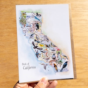 Tarjeta de bellas artes de 5 x 7 con sobre 100 % reciclado, mapa de aves del estado de California, nueva edición