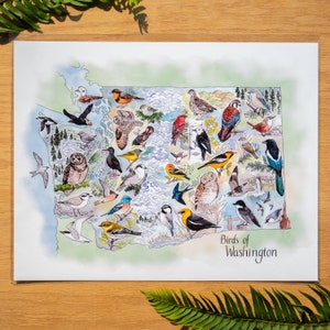 Carte des oiseaux de Washington, impression d'art 11 x 14 ou 8 x 10, nouvelle édition - carte pour les ornithologues amateurs / observation des oiseaux