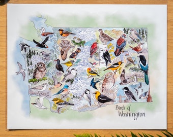 Birds of Washington map 11x14 or 8x10 fine art print New Edition - map for birders / birding