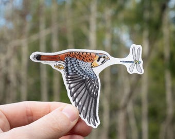 Kestrel Hunt 3" Medium vinyl sticker  weatherproof wildlife sticker