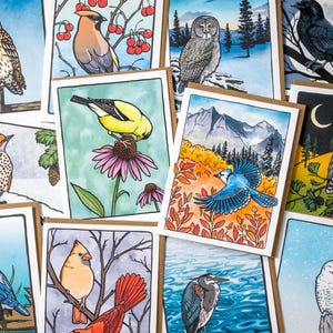Birds of Eastern North America greeting cards - Pick-Your-Own set - 100% recycled paper - Set of 3 or 8