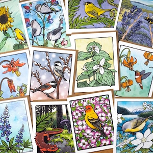 Tarjetas de felicitación "En el jardín" - Juego de "Elija su propia tarjeta" - Tarjetas de felicitación de pájaros, flores y criaturas del jardín - Papel 100 % reciclado - Juego de 3, 5 u 8