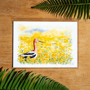 American Avocet in a Superbloom 5x7 fine art print