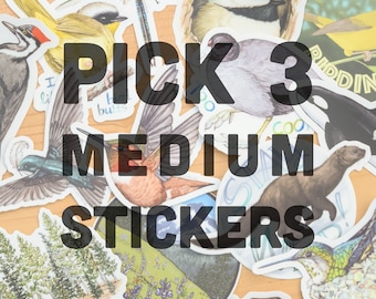 Any 3 MEDIUM vinyl stickers weatherproof dishwasher safe