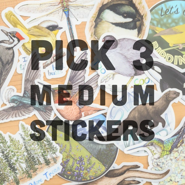 Any 3 MEDIUM vinyl stickers waterproof dishwasher safe