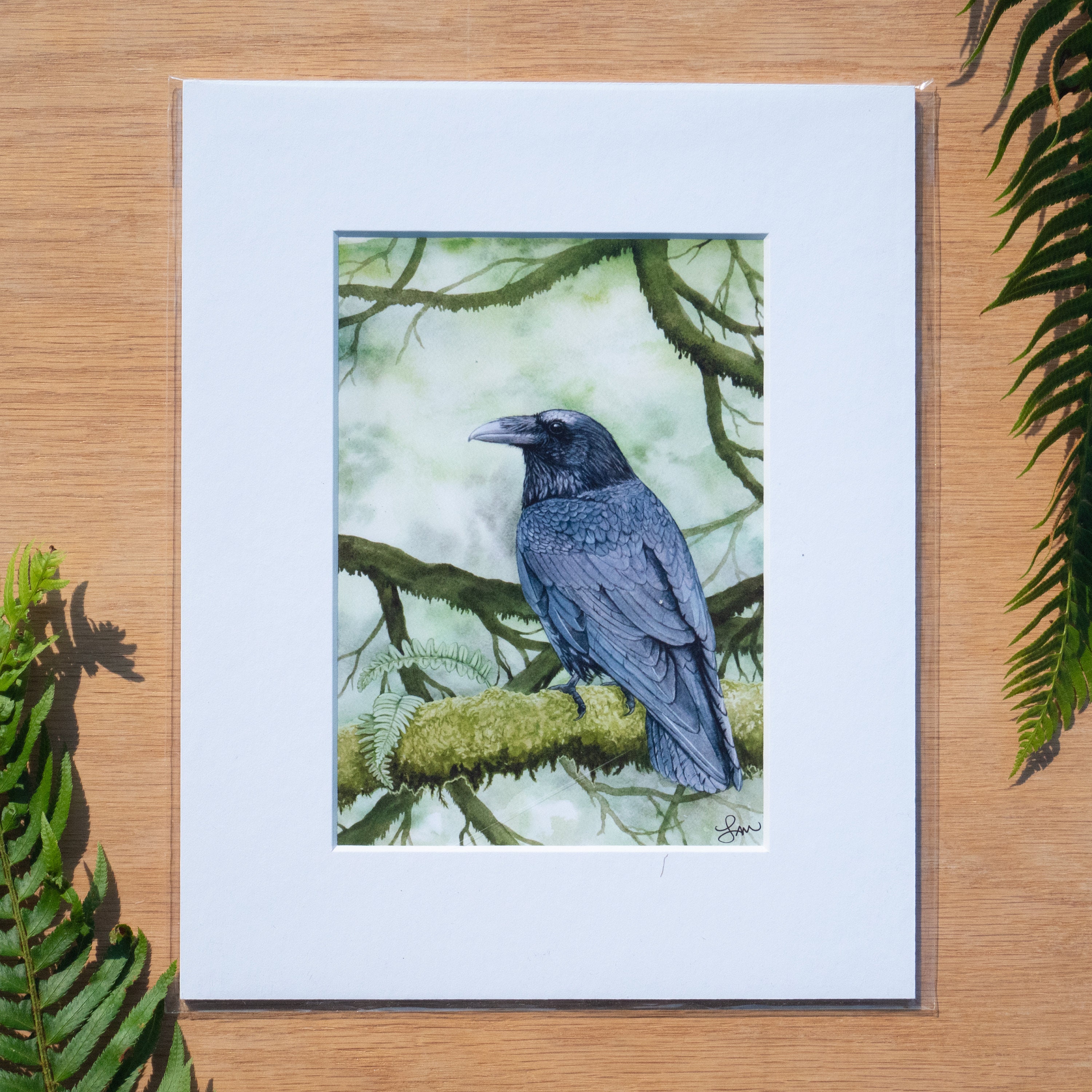 Crow Feather Black Raven Feather Minimalist Print. Fine Art Paper,  Laminated, or Framed. Multiple Sizes Available 