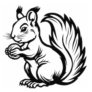 Op de afbeelding: Zwart-wit illustratie van een eekhoorn die een noot vasthoudt. De eekhoorn is in profiel afgebeeld, met een pluizige staart en gedetailleerde vacht. De afbeelding is een strak grafisch ontwerp.