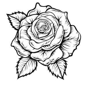 May include: Black and white illustration of a rose in full bloom. The detailed drawing shows the flower's petals and leaves with a high level of contrast, creating a striking visual effect. The rose is a classic floral design.