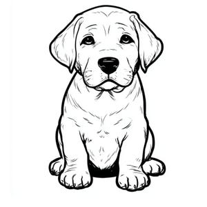 Peut inclure: Illustration en noir et blanc d'un chiot Labrador Retriever assis. Le chiot a de grands yeux expressifs, des oreilles tombantes et un nez noir. L'image est un dessin au trait simple avec des contours noirs épais.