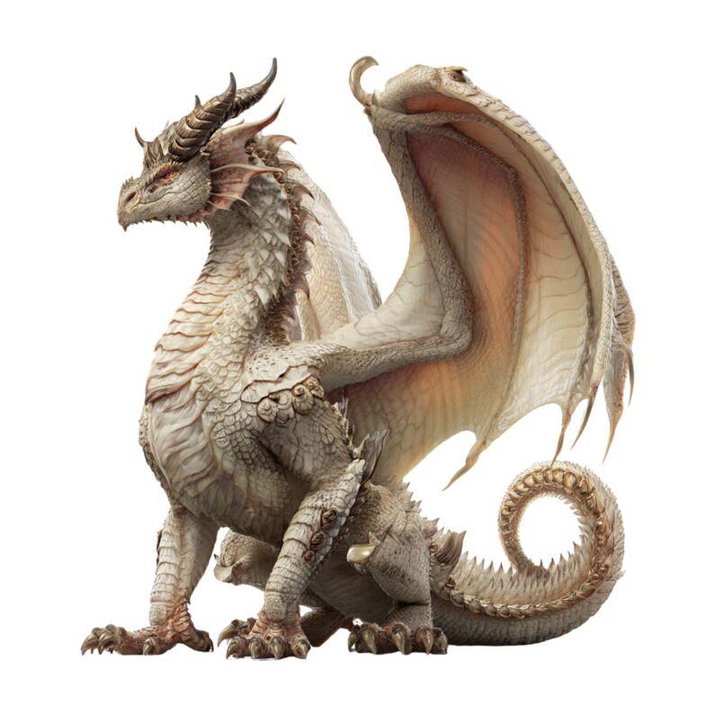 50 Realistic Dragon Clipart PNG & SVG, Highdetail Color Illustrations