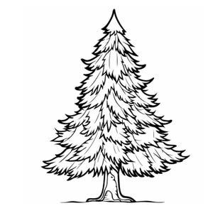 Peut inclure: Illustration en noir et blanc d'un sapin de Noël. L'arbre a une forme triangulaire avec des branches détaillées et superposées. Le tronc est visible à la base, sur un fond blanc uni.