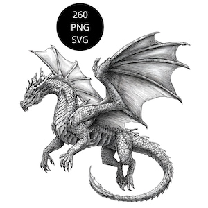 Könnte beinhalten: Schwarz-Weiß-Illustration eines Drachen mit ausgebreiteten Flügeln. Der Drache hat einen langen Schwanz, scharfe Krallen und ein detailliertes Schuppenmuster. Ein schwarzer Kreis mit dem Text "260 PNG SVG" ist zu sehen.