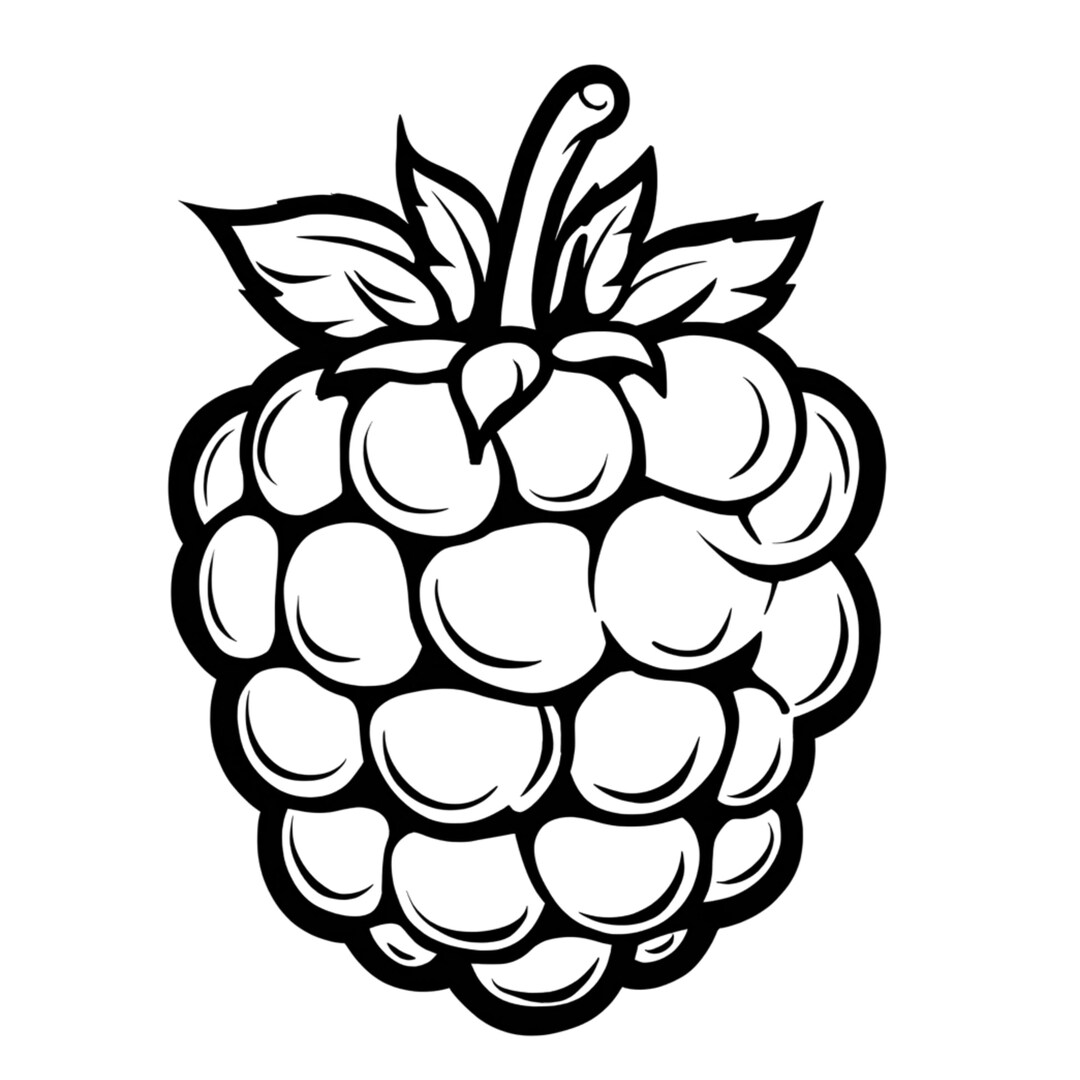 Cartoon Raspberry Svg This item is unavailable - Etsy