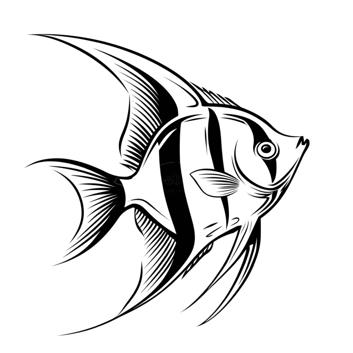 Cute Angelfish Illustration PNG & SVG, 300 DPI, Transparent Background ...