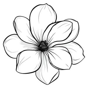 Op de afbeelding: Zwart-wit illustratie van een magnoliabloem. De bloem heeft grote, afgeronde bloemblaadjes met donkere contouren en een gedetailleerd centrum. De bloemblaadjes zijn gearceerd om diepte en dimensie te geven.