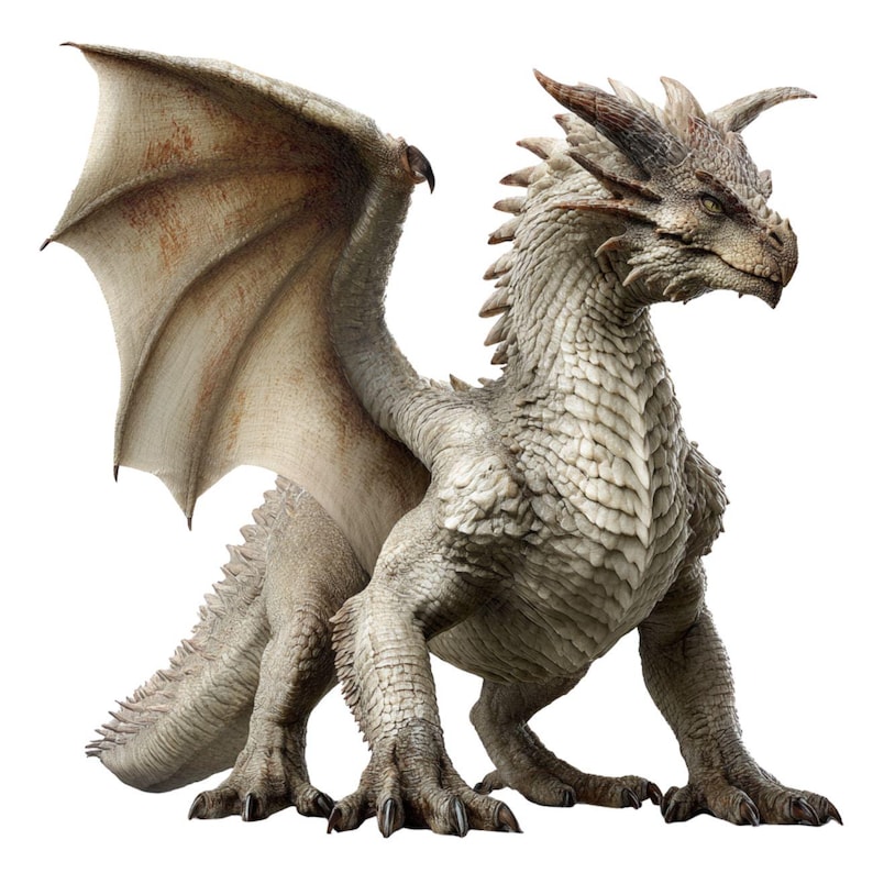50 Realistic Dragon Clipart PNG & SVG, Highdetail Color Illustrations