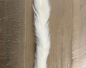 White Calf Tail