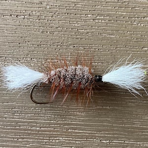 May include: A handmade fishing fly with a brown body, reddish-brown and white accents. The fly has a curved hook and white, feathery tips. The fly is designed to mimic an insect and attract fish.