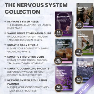 Somatisches Coaching-Business-System, Marketing- und Onboarding-Kit, PLR-Canva-Vorlagen zur Regulierung des Nervensystems, Wellness-Business-Komplettpaket Bild 2