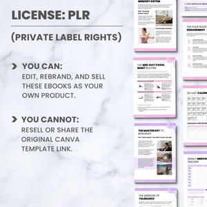 K&ouml;nnte beinhalten: Ein digitales Produkt mit dem Text "LICENSE: PLR (PRIVATE LABEL RIGHTS)". Das Produkt umfasst editierbare E-Books, die umbenannt und verkauft werden k&ouml;nnen. Das Bild enth&auml;lt auch den Text "YOU CAN" und "YOU CANNOT".