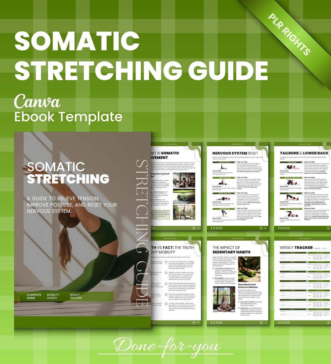 Somatic Stretching PLR Canva Template for Coaches | Resell Rights ...