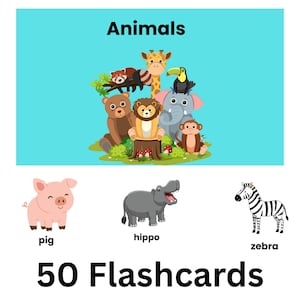 Tier Karteikarten | Kinder-Lernkarten | Druckbare Lernressource