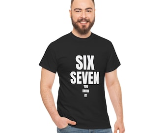 playful praphic tee unisex heavy cotton tee with six seven design, casual wear, gift for friends, birthday, fun