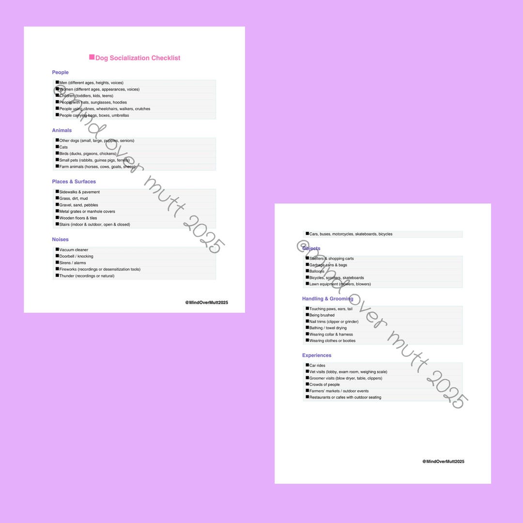 Dog Puppy Canine Socialization Planner Checklist - Etsy