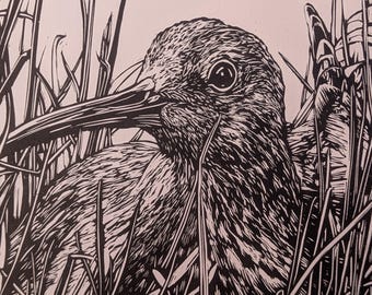 Nidification du courlis linogravure noir oiseau nature des landes