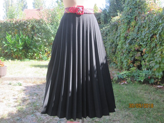 Pleated Wool Skirt / Pleated Skirts / Wool with Po