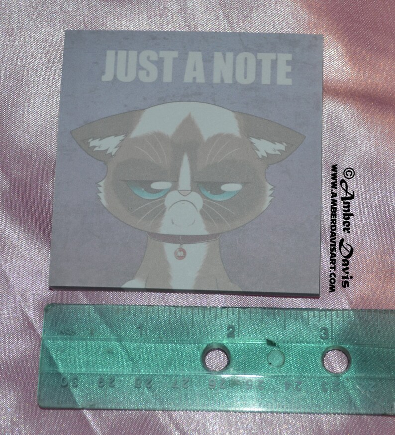 CUTE Unique Gift! Grumpy Cat Kitty Just a Note Custom Post It Notes